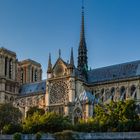 Paris-Notre-Dame