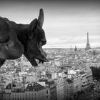 Paris, Notre Dame