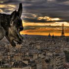 Paris ... Notre Dame