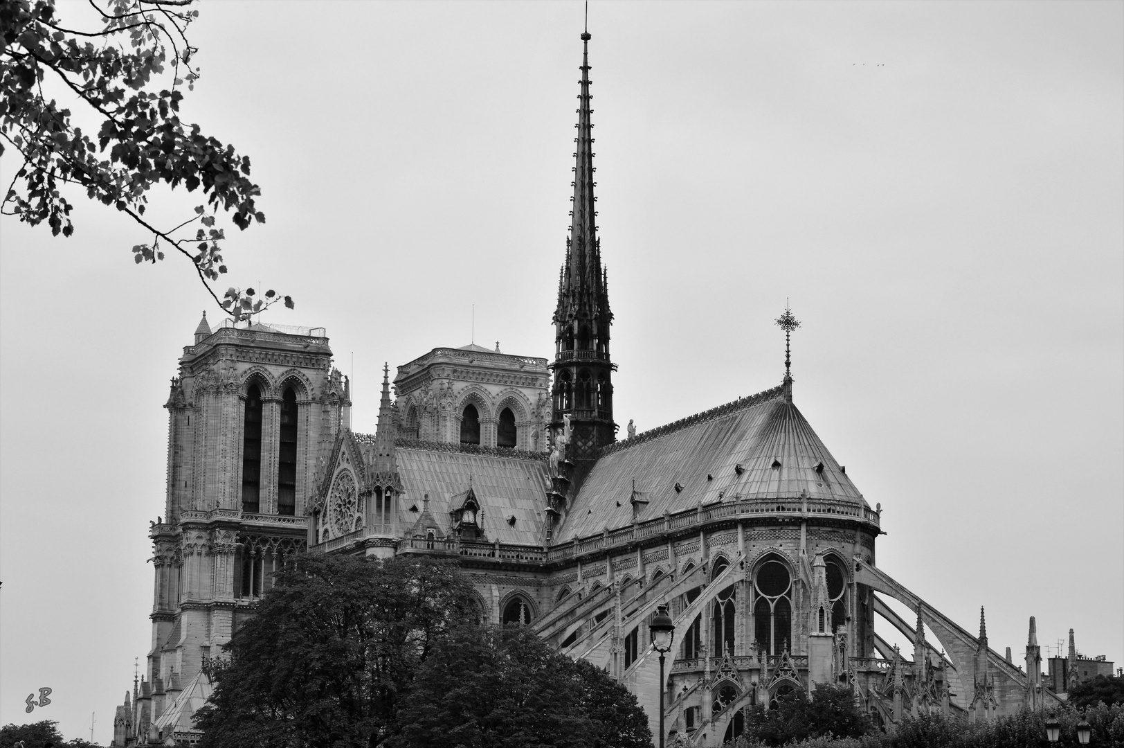 Paris Notre-Dame