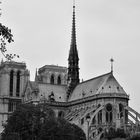 Paris Notre-Dame