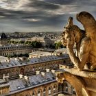 Paris - Notre Dame