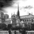 Paris, Notre Dame, sw