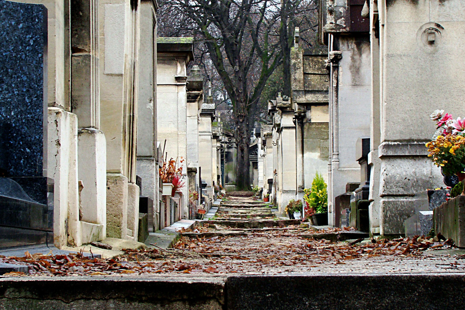 Paris----Pére Lachaise