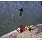 Paris, Quai de Bourbon