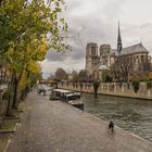 Paris - Quartier Latin - Quai de la Tournelle - Notre Dame - Seine