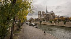 Paris - Quartier Latin - Quai de la Tournelle - Notre Dame - Seine