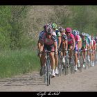 paris-roubaix 2007