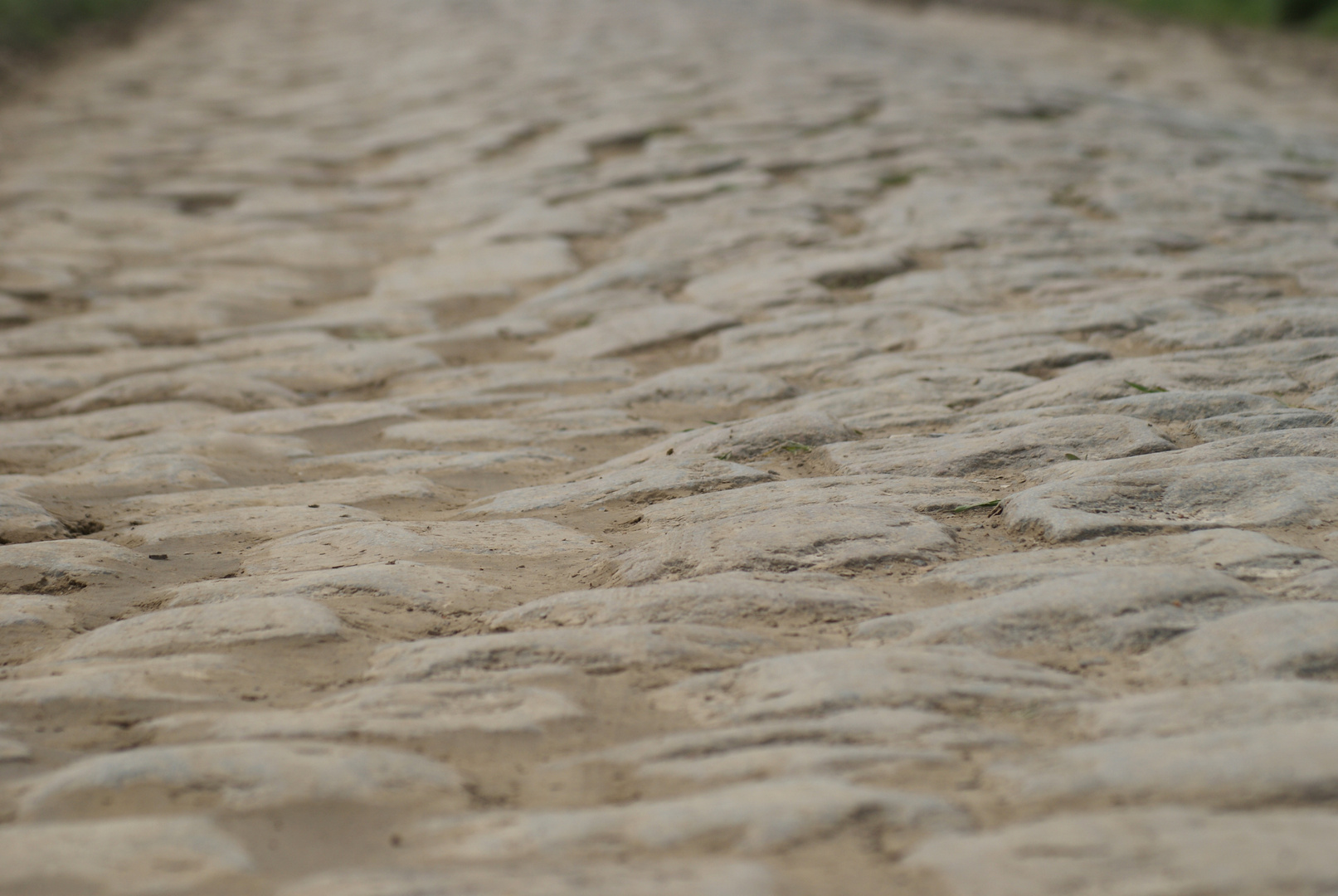 Paris-Roubaix 2009