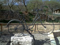 París-Roubaix, 2010