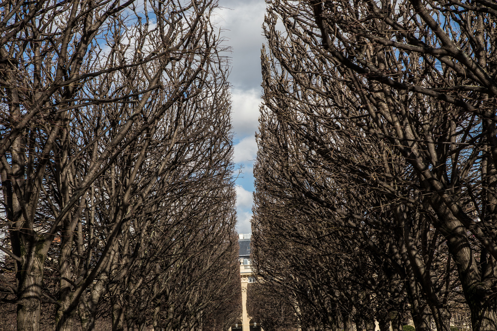 Paris sehnt den Frühling herbei