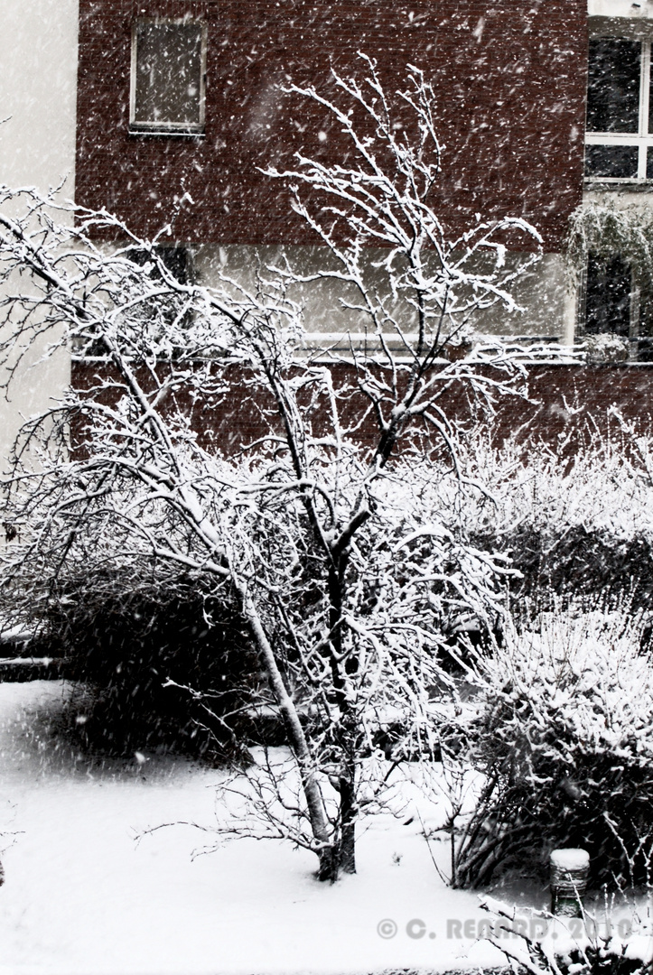 Paris sous la neige