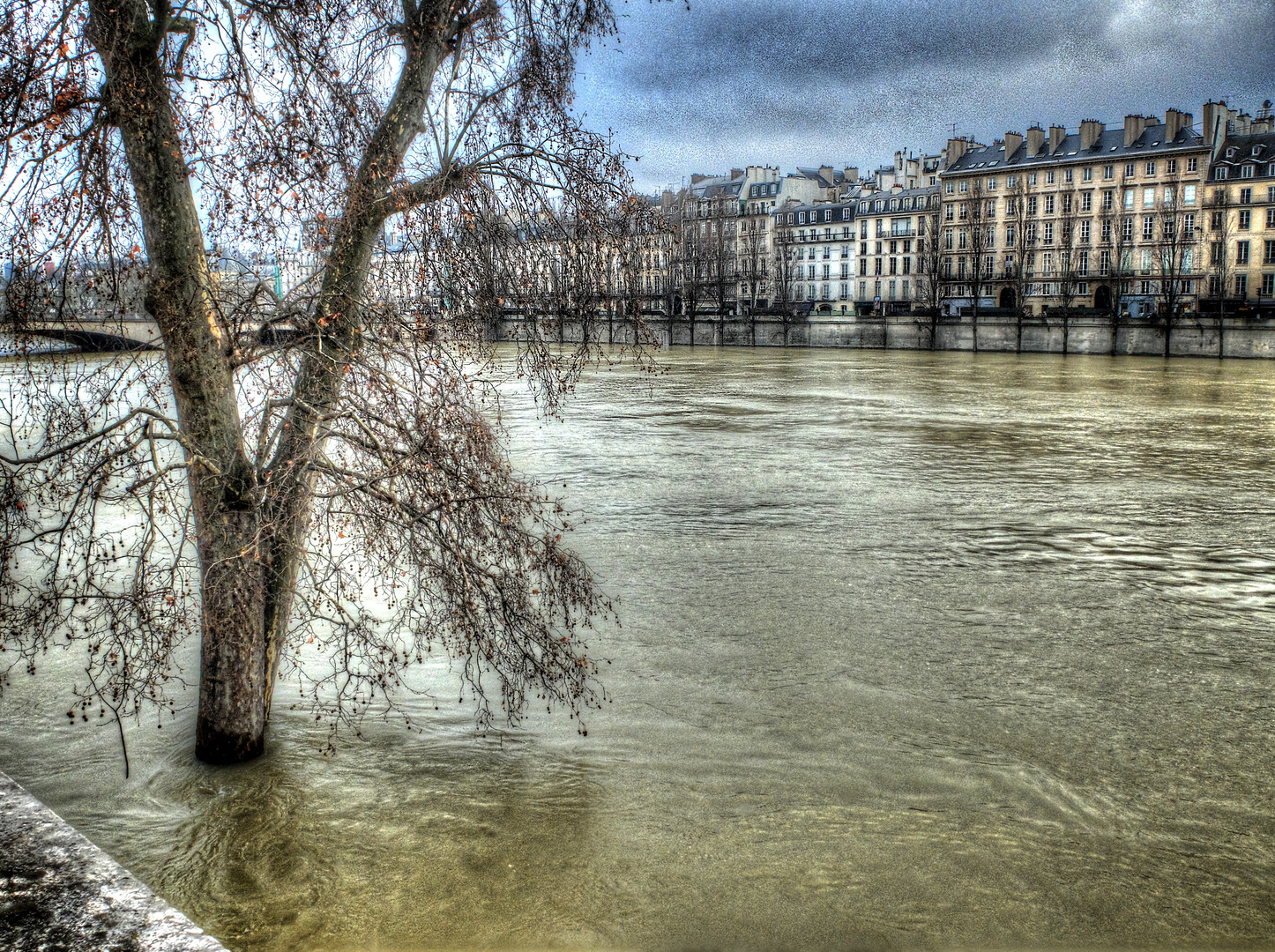 Paris sous la pluie / Paris under the rain