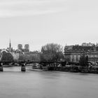 Paris. Tristesse. Île de la Cité et Institut de France.