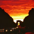 ...Paris...Champs Elysee