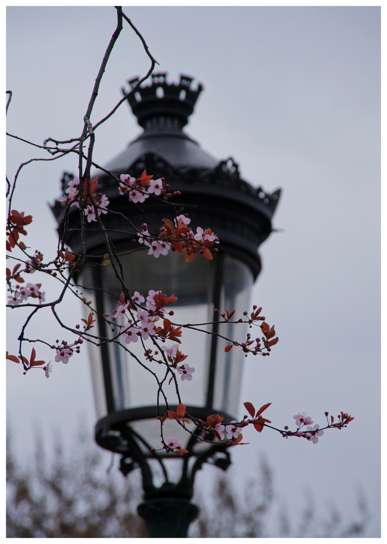 Pariser Frühling