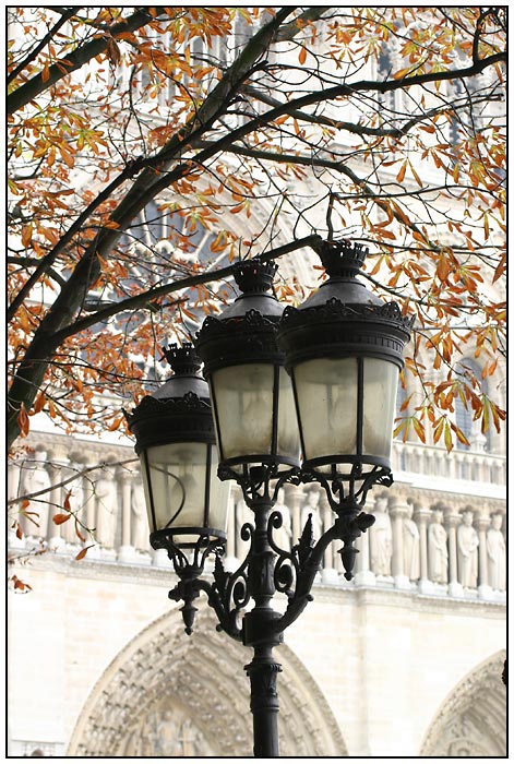 Pariser Straßenlaterne vor Notre-Dame