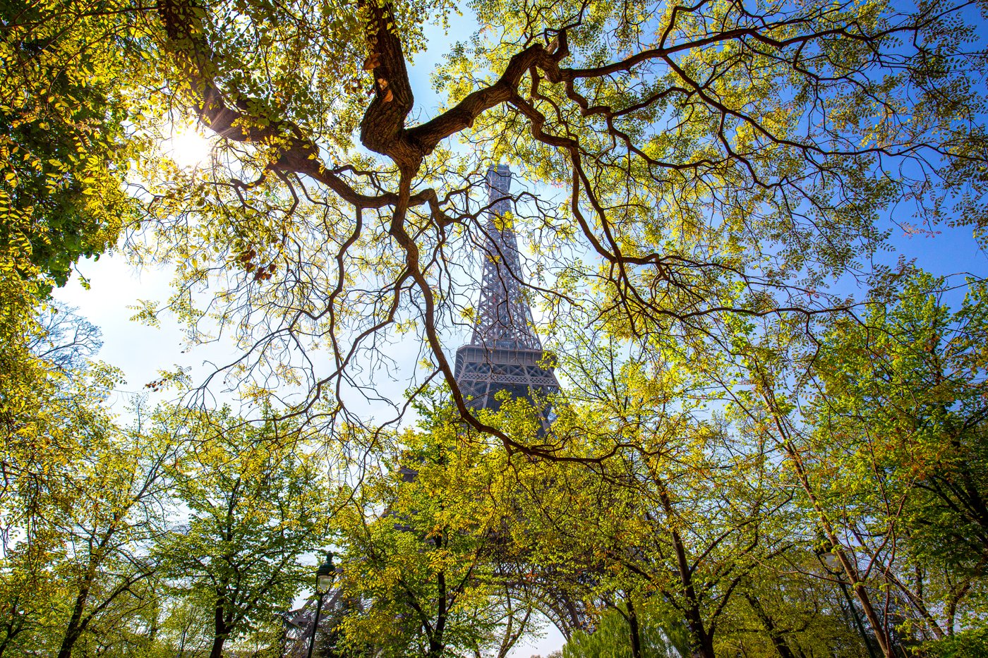 Parisian Spring