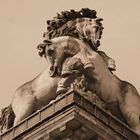 paris.les invalides