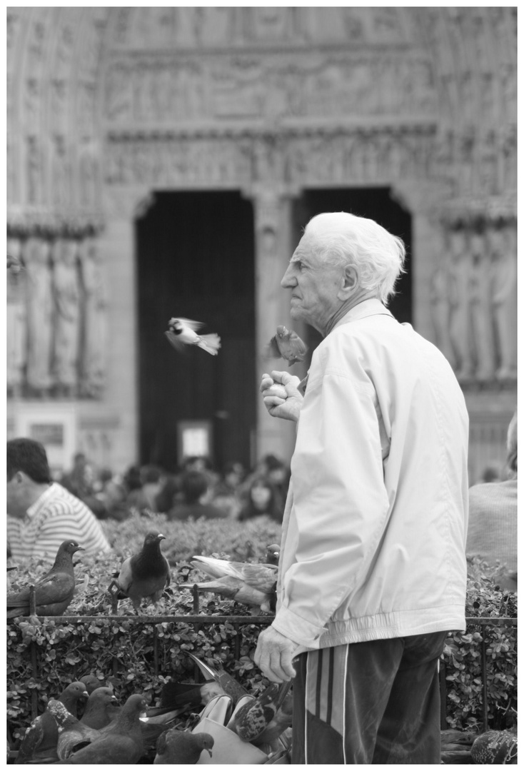 Paris/Notre Dame