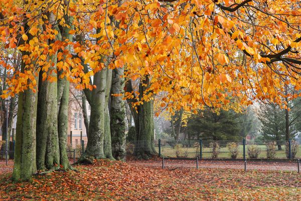 Park am Hüttenwerkplatz