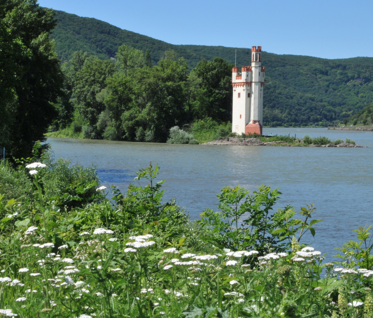 Park am Mäuseturm, Bingen Foto & Bild landschaft, garten