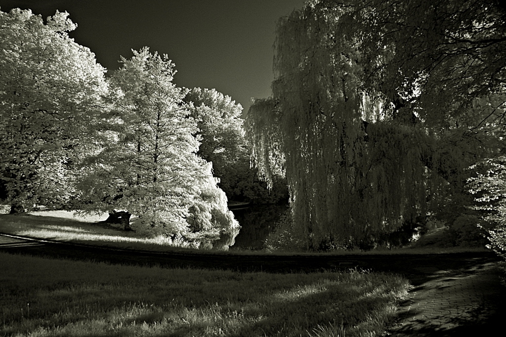 Park am Obersee, Berlin