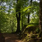 Park am Schloß Altenstein