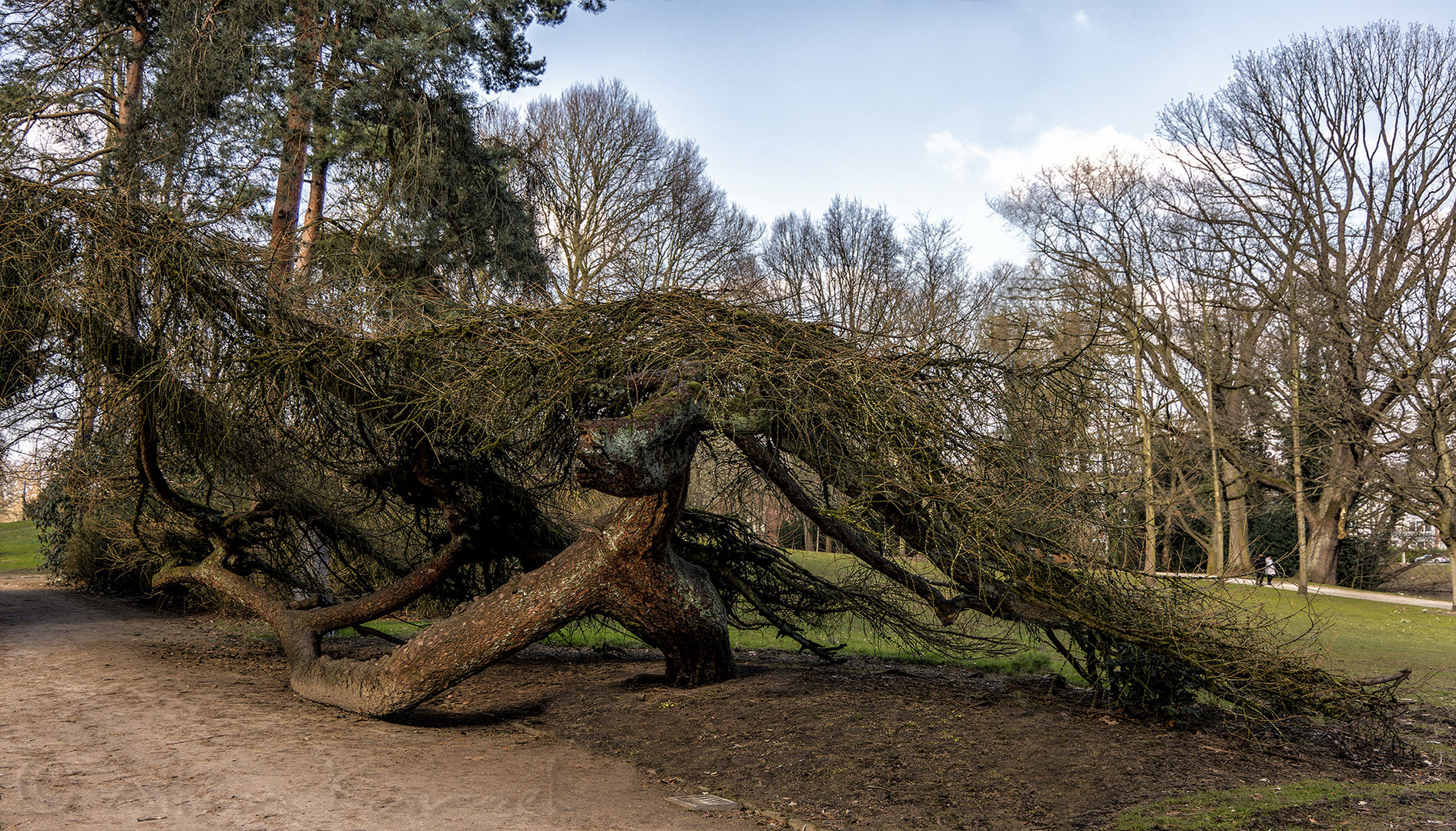 Park am Stadtgraben