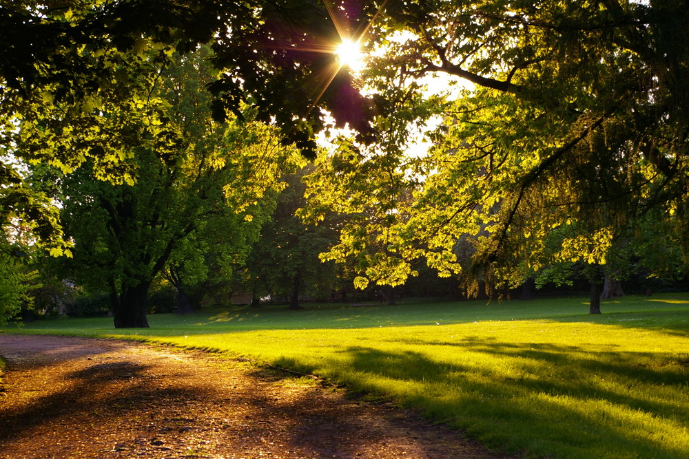 Park an der Elbe