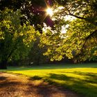 Park an der Elbe