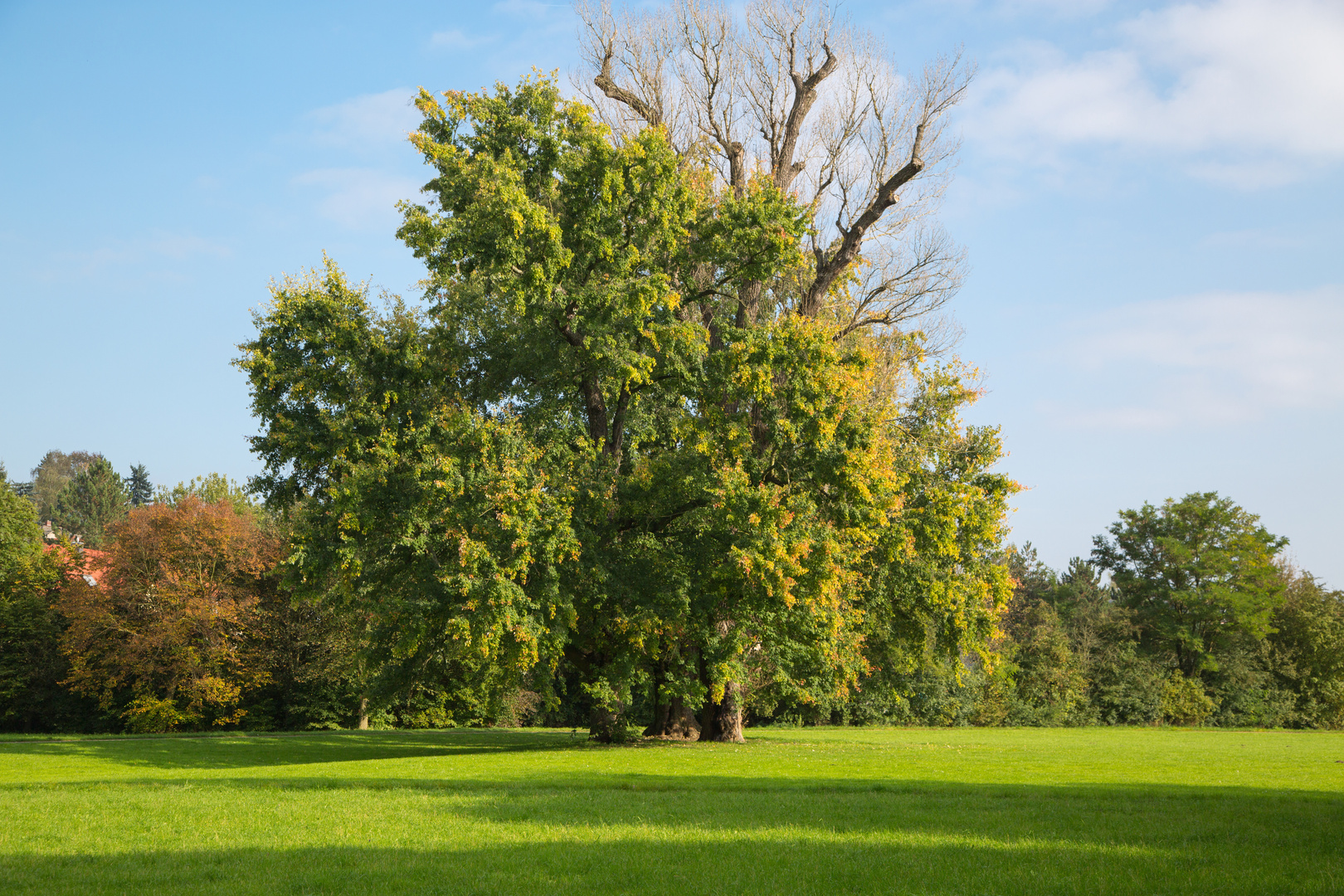 Park an der Ilm in Weimar