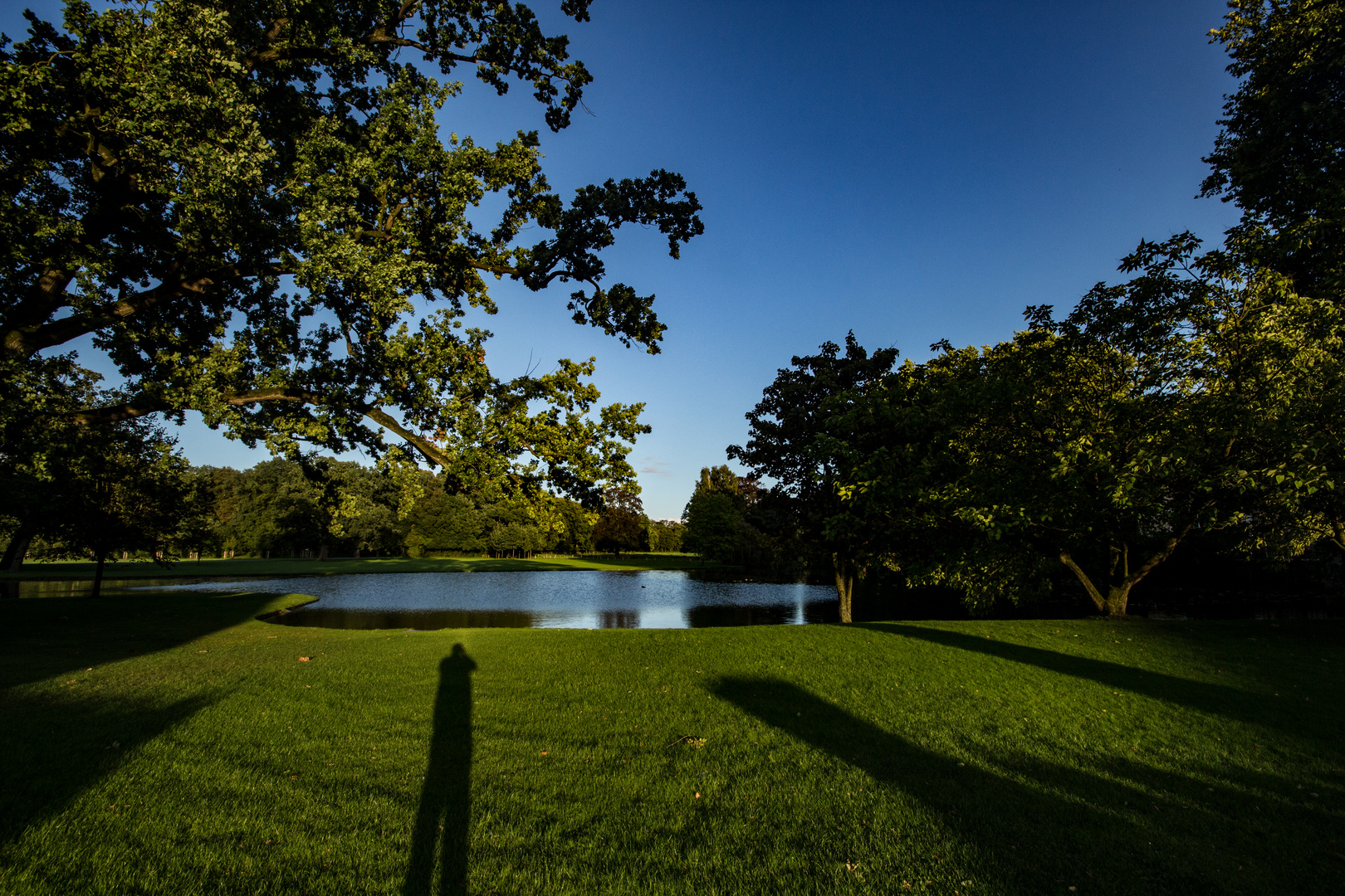 Park and Pond