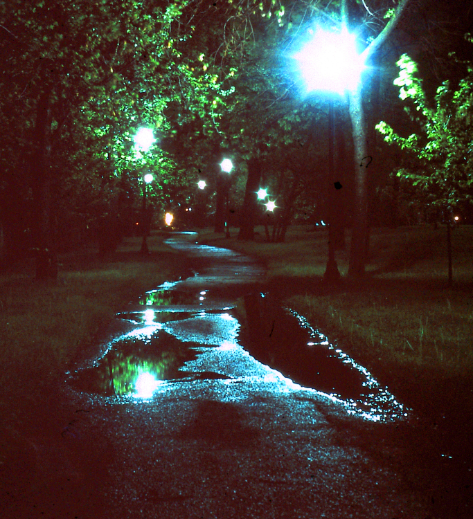 park at night