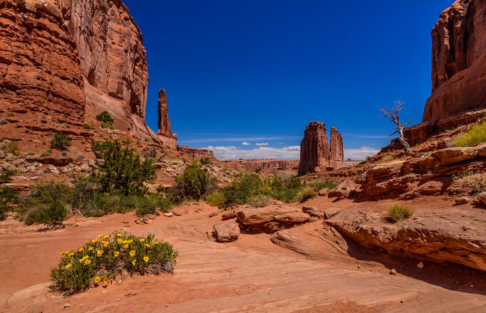 Park Avenue Trail, Arches NP, Utah, USA