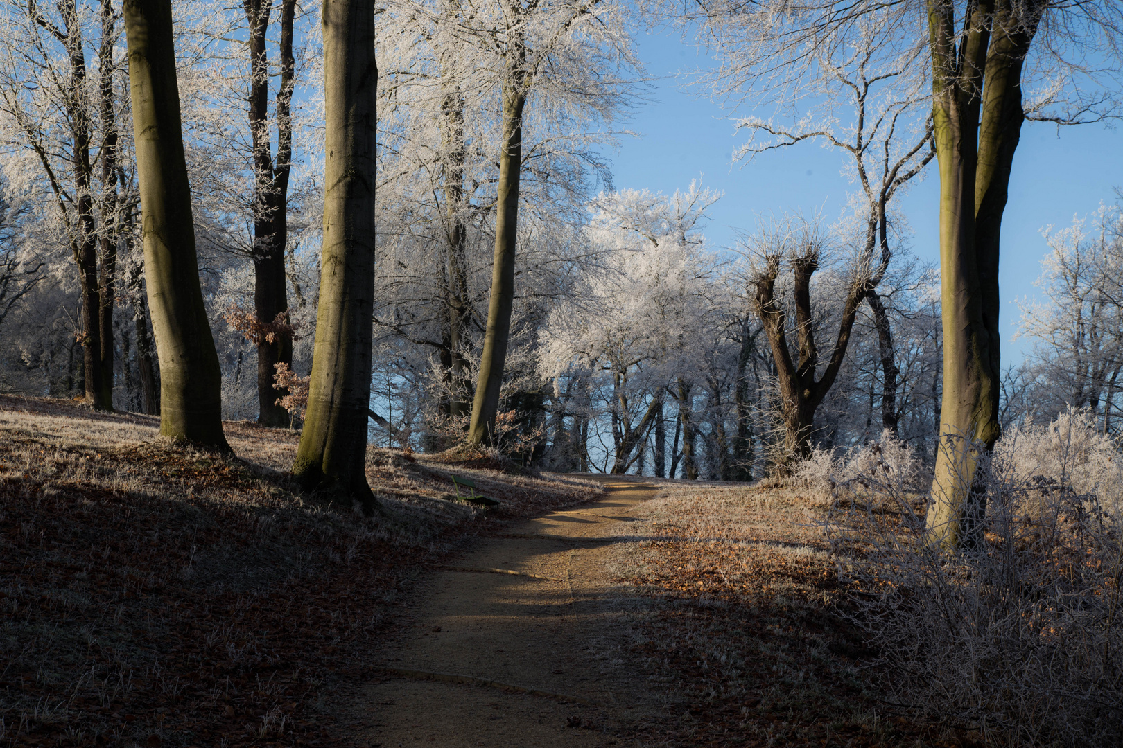 Park Babelsberg