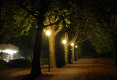 Park bei Nacht