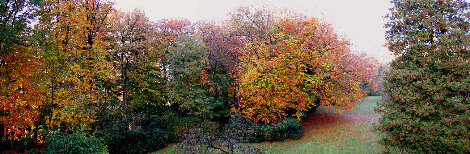 Park beim Landhaus Walsrode