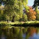 Park beim Münster ...