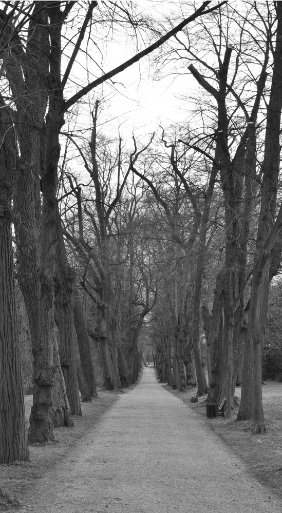 Park Belvedere, Weimar