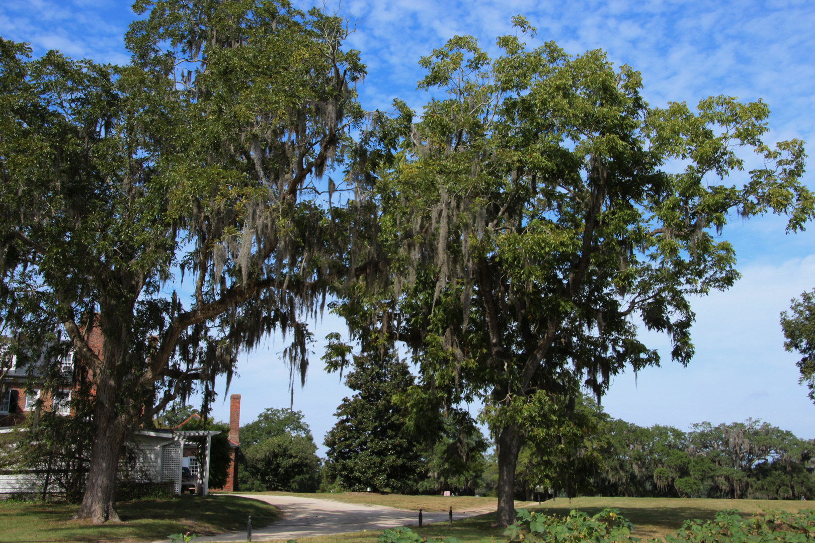 Park Boone Hall Plantage