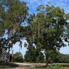 Park Boone Hall Plantage