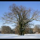 Park Branitz (Cottbus)