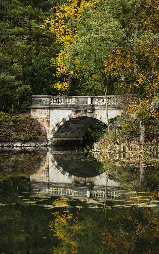 Park bridge