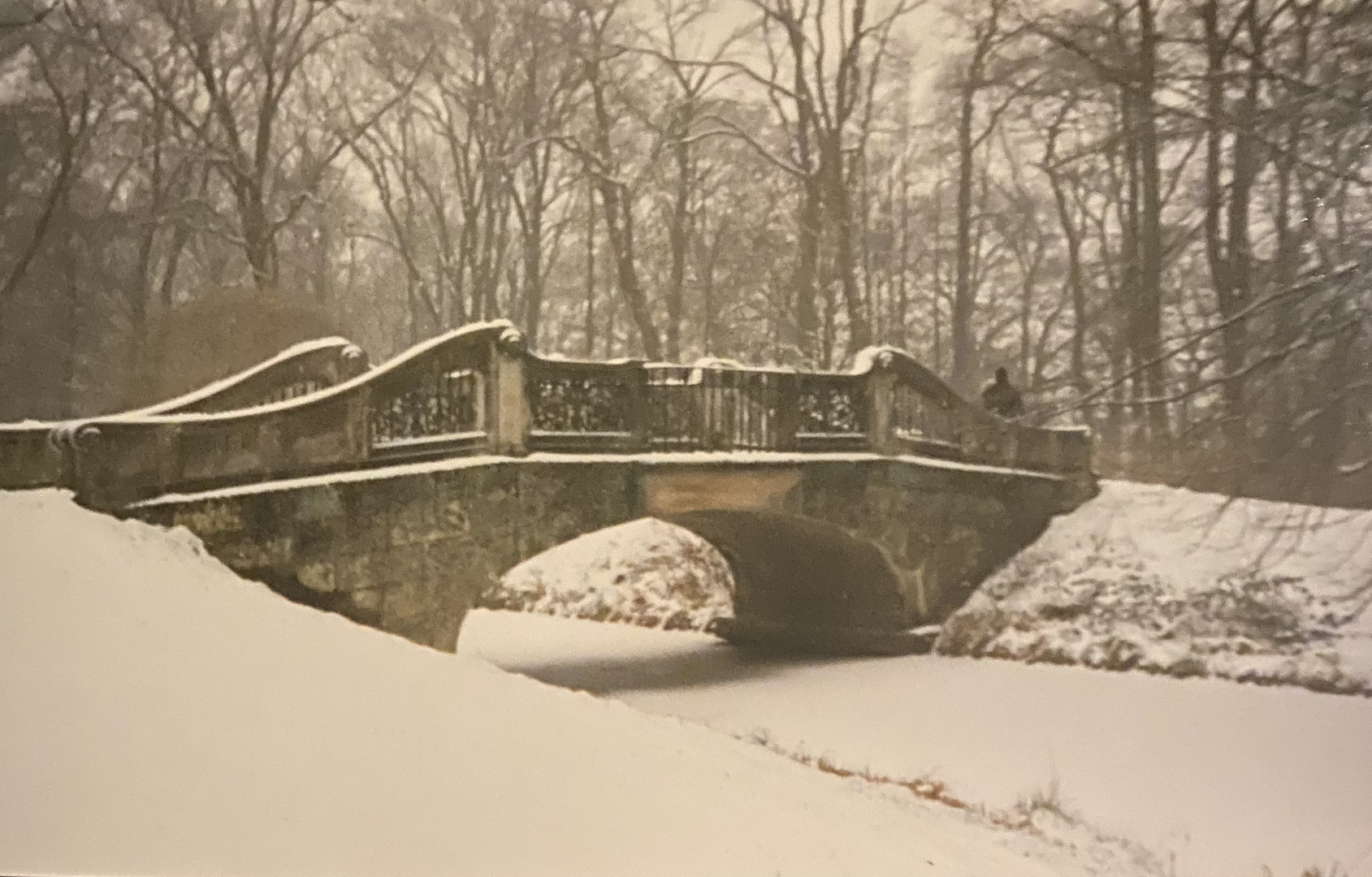 Park Bridge in winter