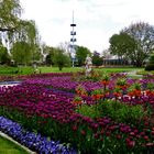 Park der Blumen...