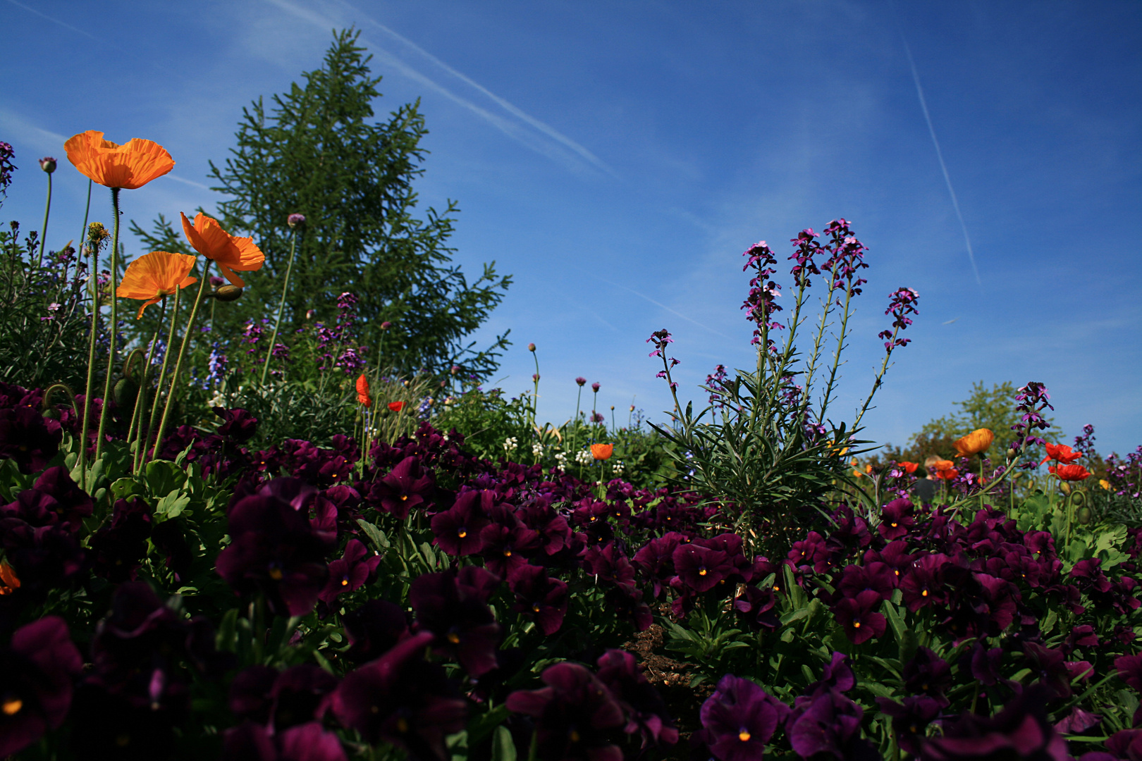 Park der Gärten in Bad Zwischenahn Foto & Bild ...