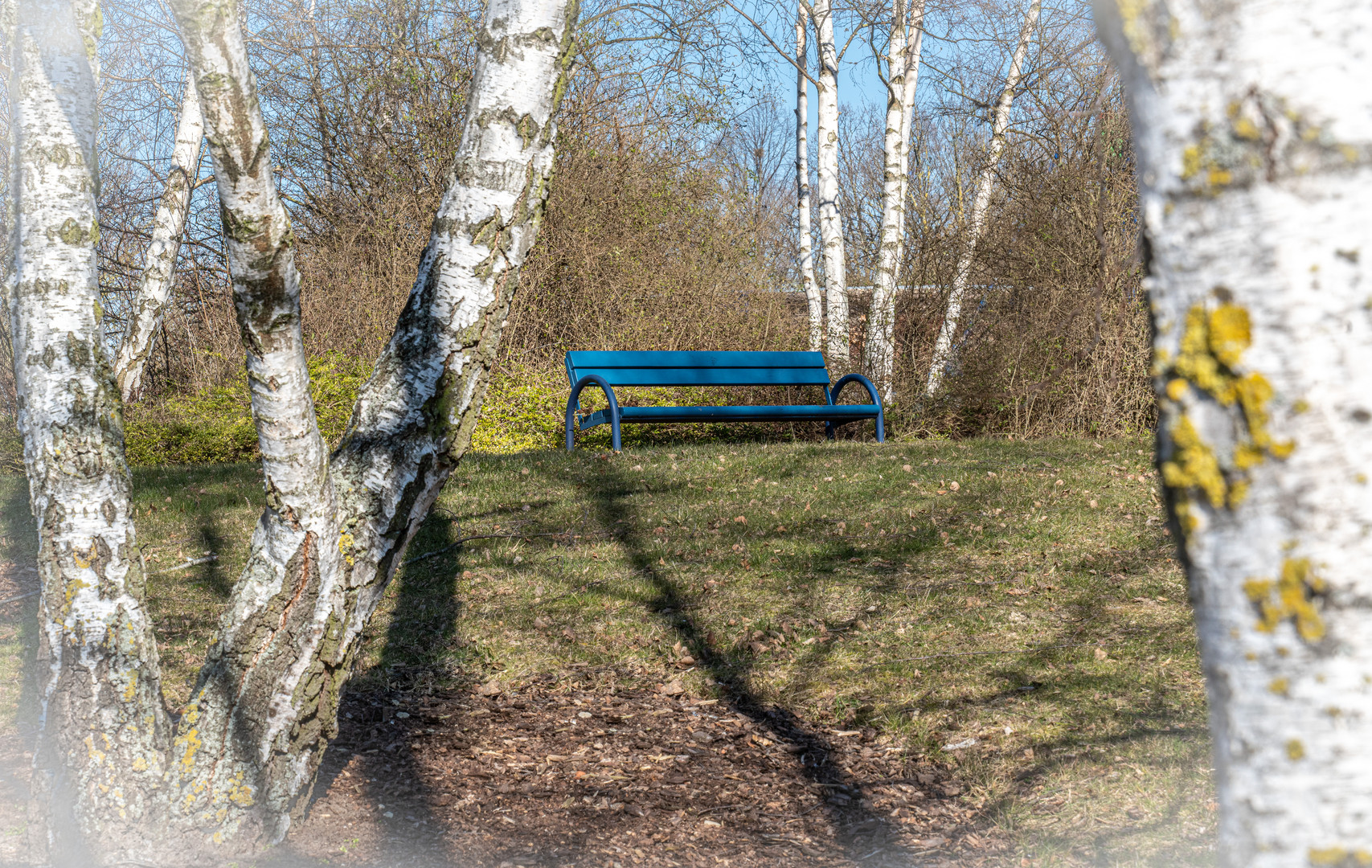 Park der Sinne  -  Hannover-Laatzen