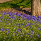 Park der Sinne II - Hannover-Laatzen