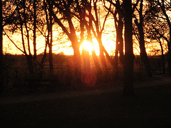 Park fast direkt bei uns hinter dem Haus Bild 3